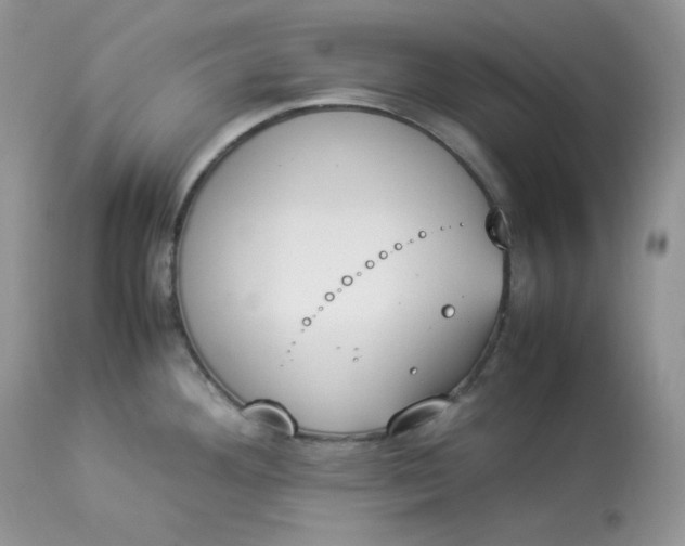 X0000112851292200909111436