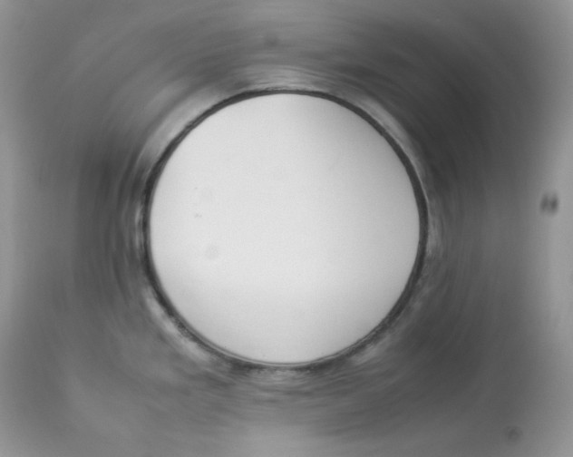 X0000112851293200909111436