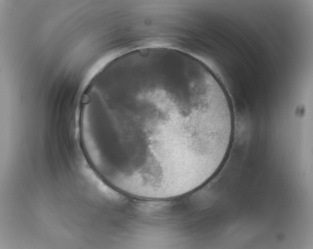 X0000112851294200909111436