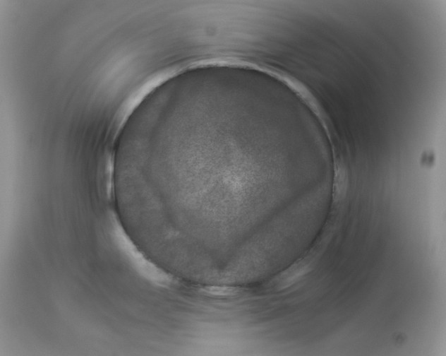 X0000112851295200909111436