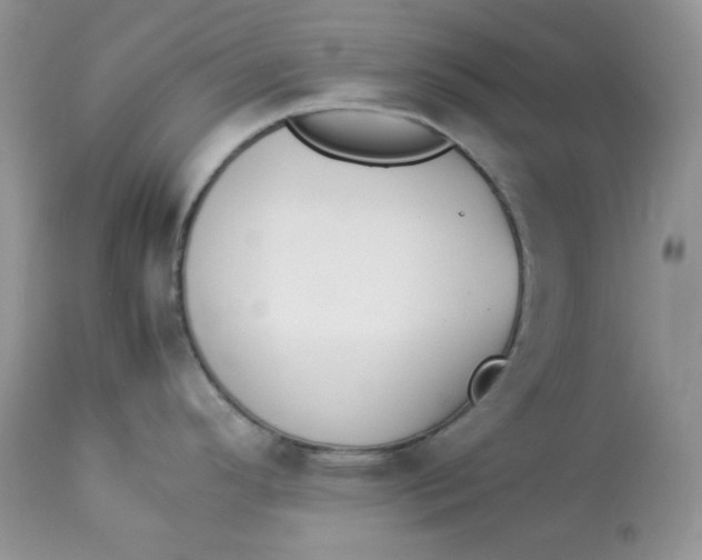 X0000112851296200909111436