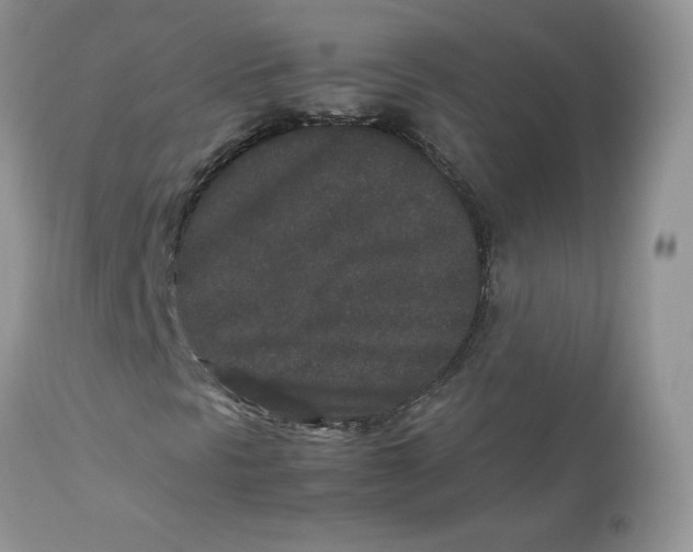 X0000112851297200909111436