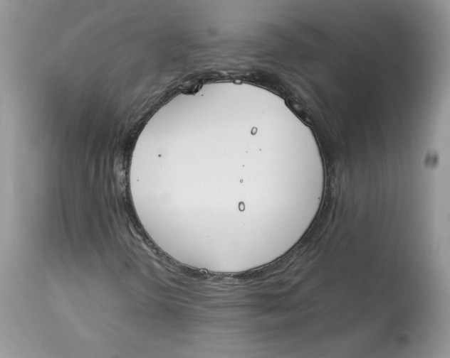 X0000112851298200909111436