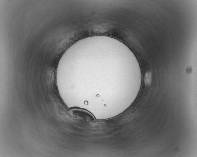 X0000112851299200909111436