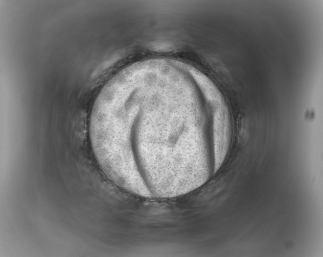 X0000112851301200909111436