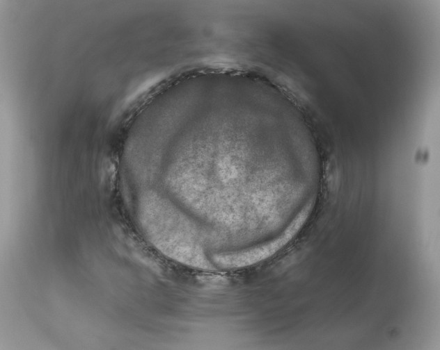 X0000112851302200909111436