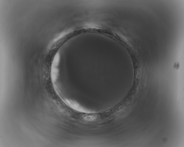 X0000112851303200909111436