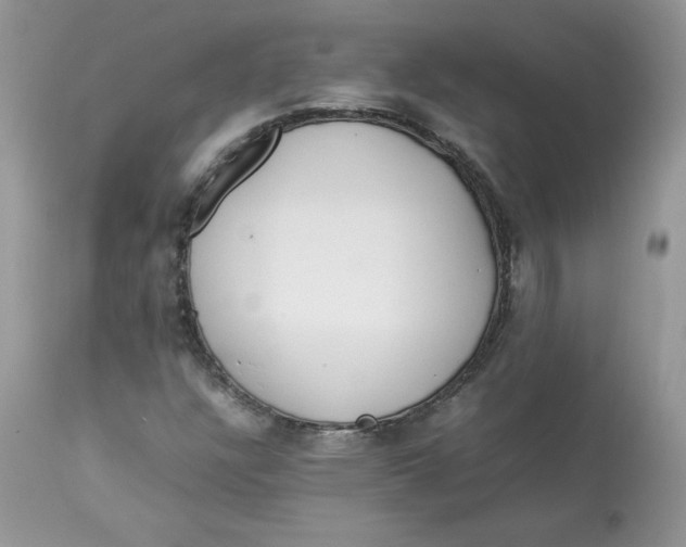 X0000112851304200909111436