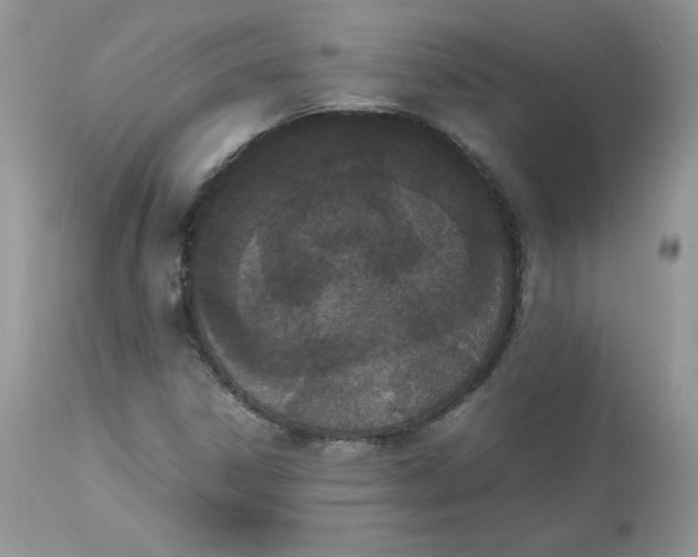 X0000112851306200909111436