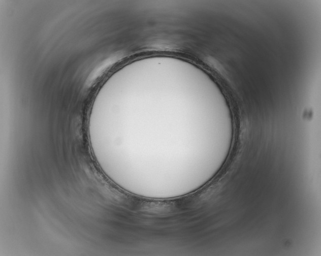 X0000112851307200909111436