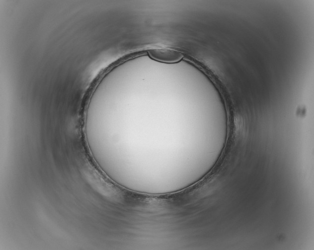 X0000112851308200909111436