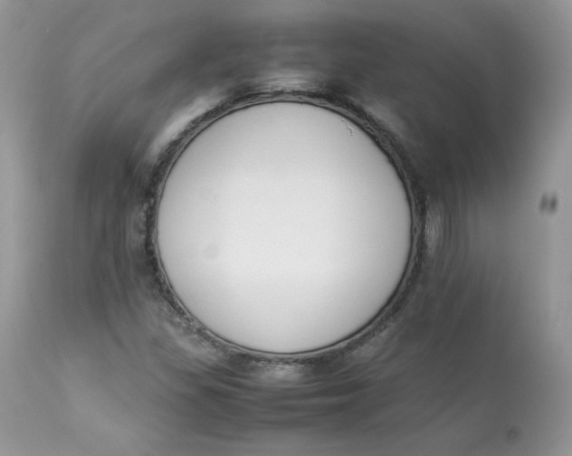 X0000112851309200909111436