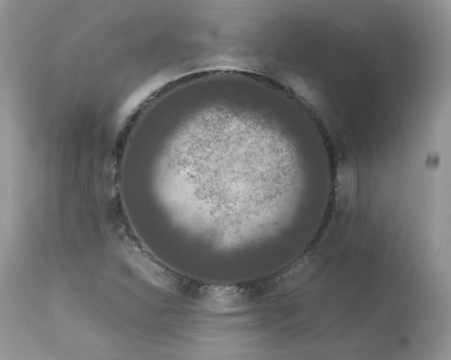 X0000112851310200909111436