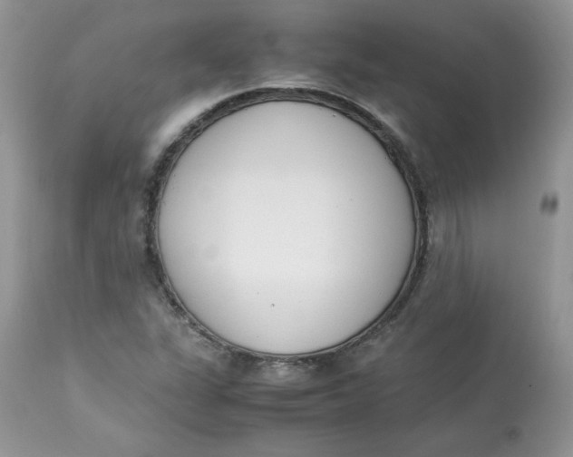 X0000112851311200909111436