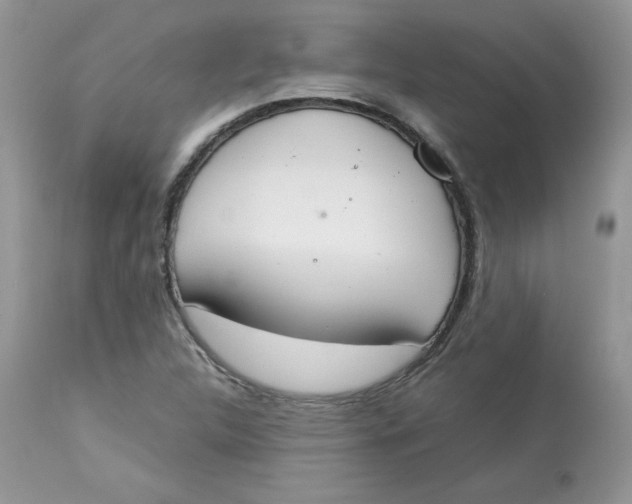 X0000112851312200909111436