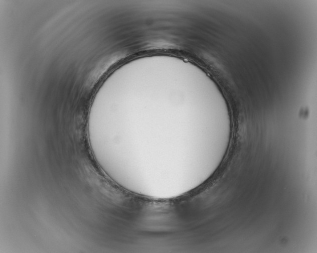 X0000112851313200909111436