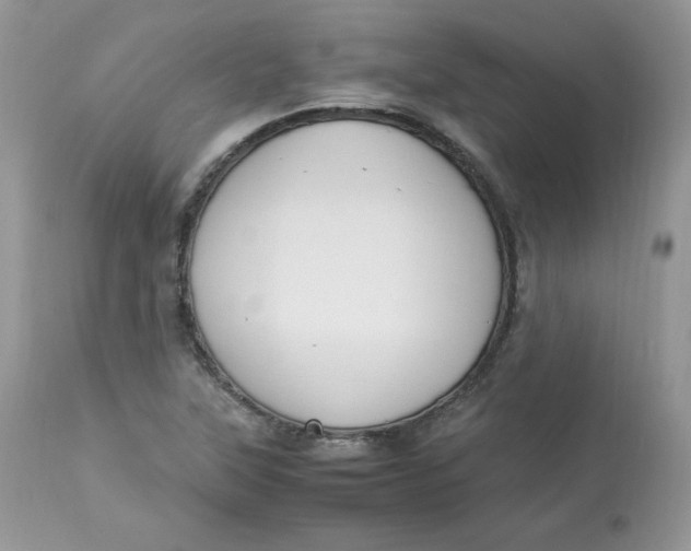 X0000112851315200909111436