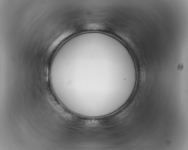 X0000112851317200909111436