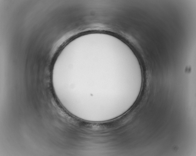 X0000112851318200909111436