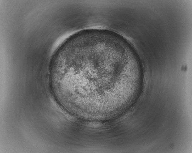 X0000112851319200909111436