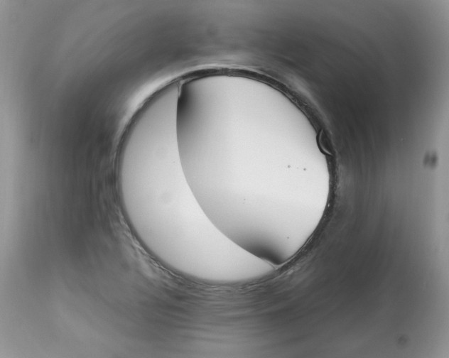 X0000112851320200909111436