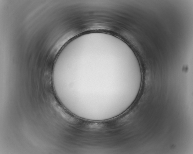 X0000112851321200909111436