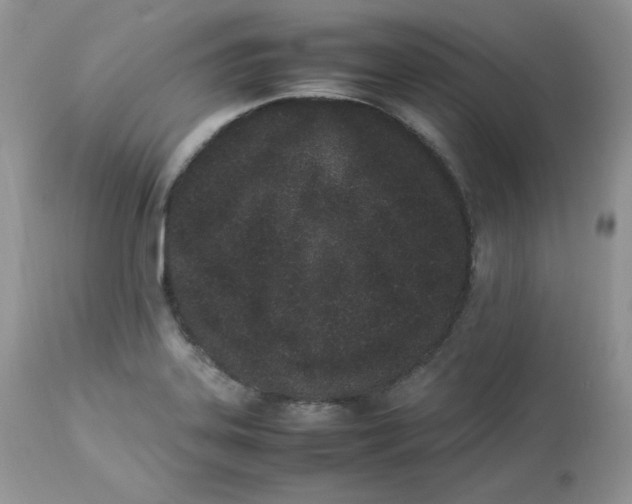 X0000112851323200909111436