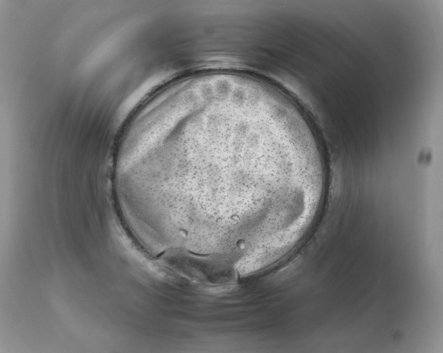 X0000112851325200909111436