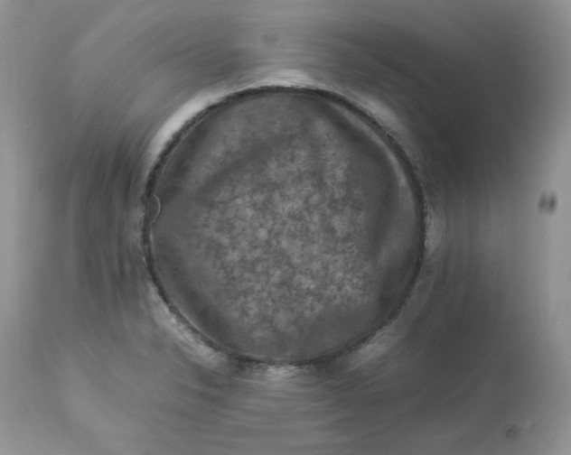 X0000112851326200909111436