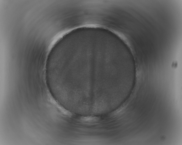 X0000112851327200909111436