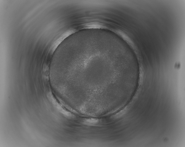 X0000112851329200909111436