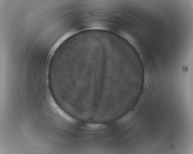 X0000112851331200909111436