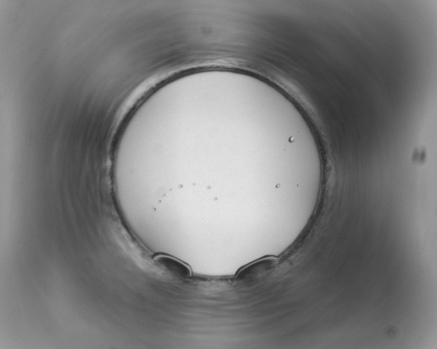 X0000112851332200909111436