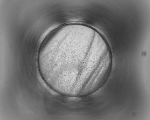 X0000112851333200909111436