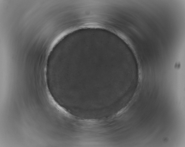 X0000112851334200909111436