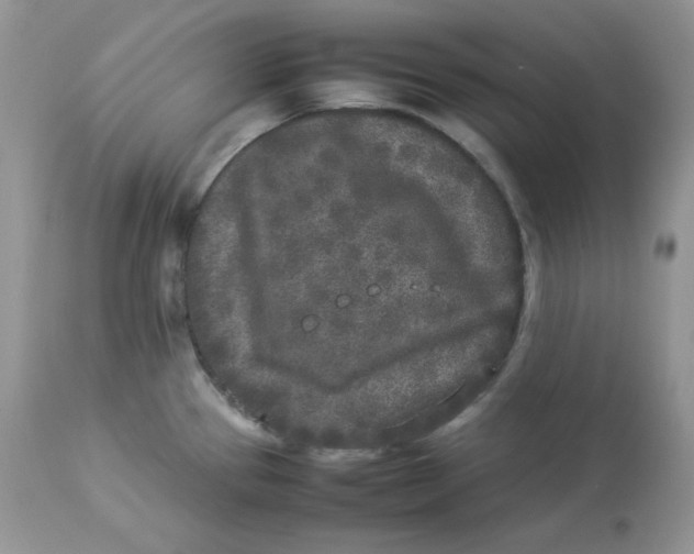 X0000112851337200909111436