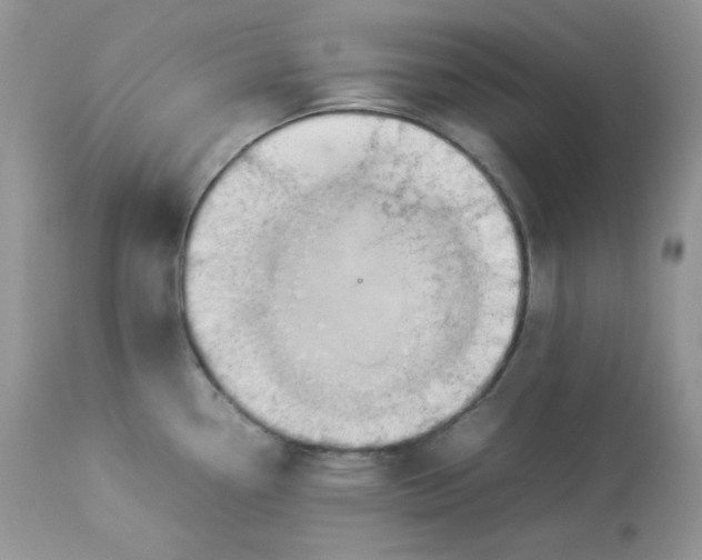 X0000112851338200909111436