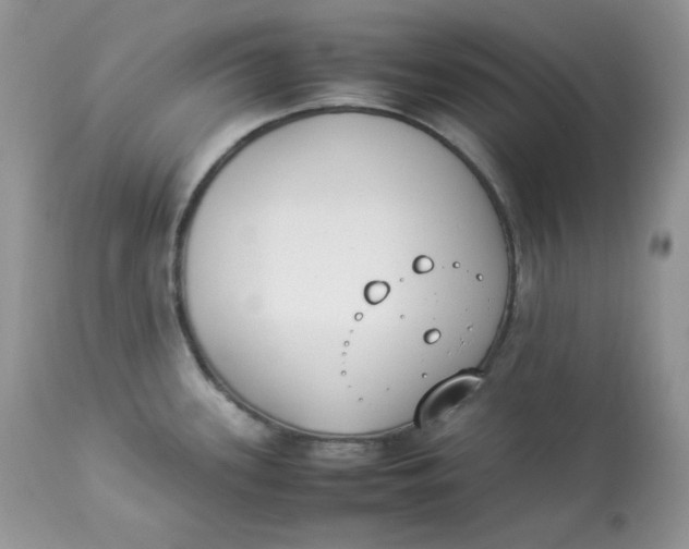 X0000112851339200909111436