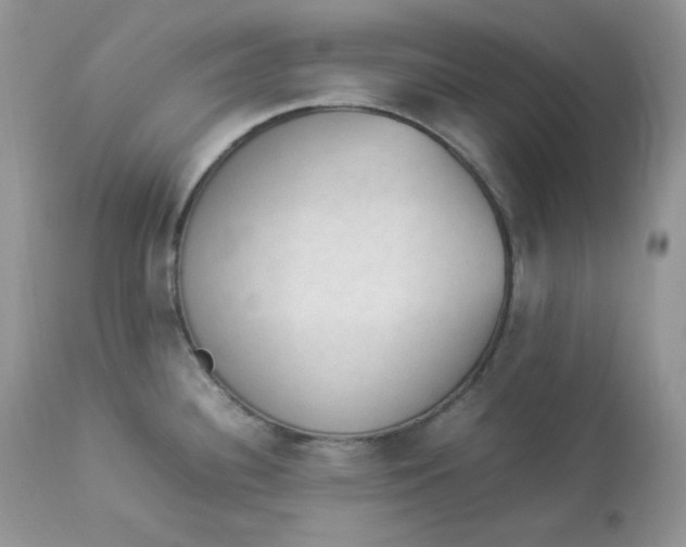 X0000112851340200909111436