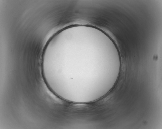 X0000112851343200909111436