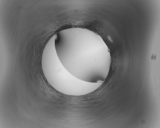 X0000112851345200909111436