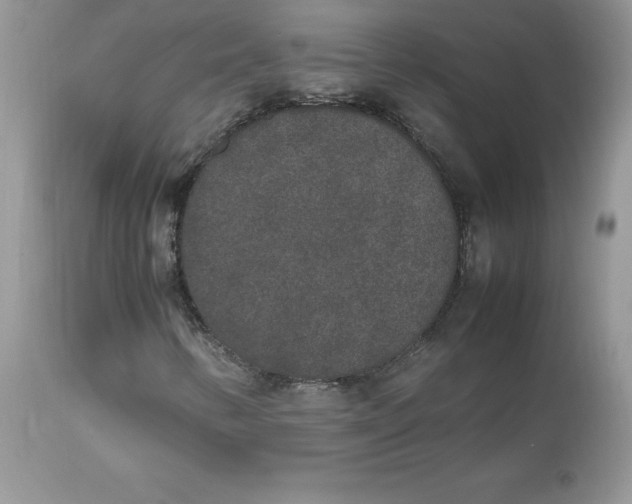 X0000112851346200909111436