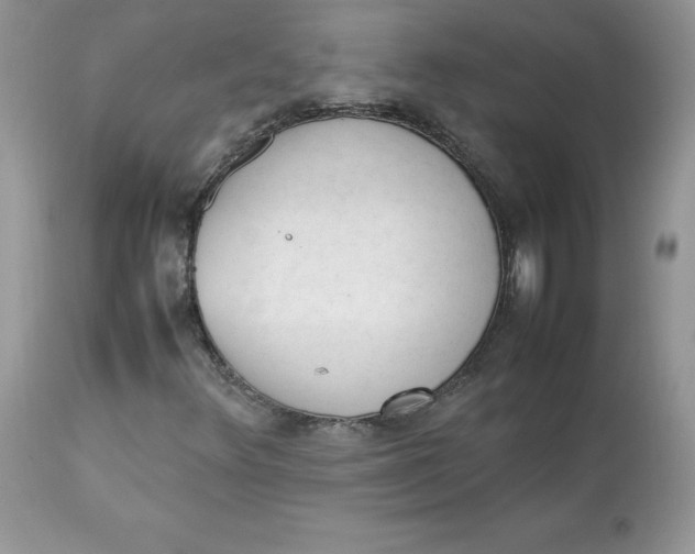 X0000112851348200909111436