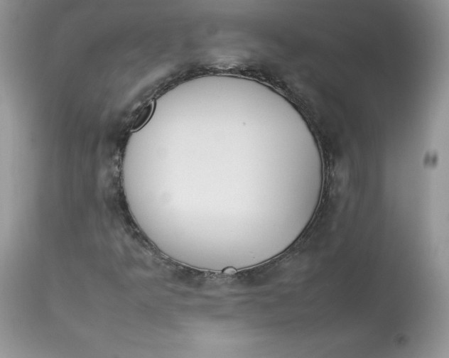 X0000112851349200909111436