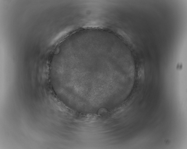 X0000112851350200909111436