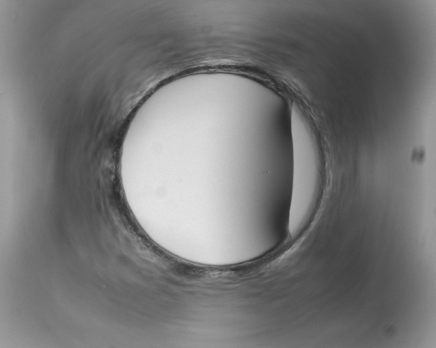 X0000112851353200909111436