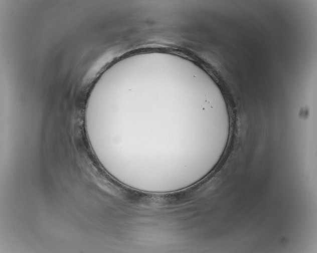 X0000112851355200909111436