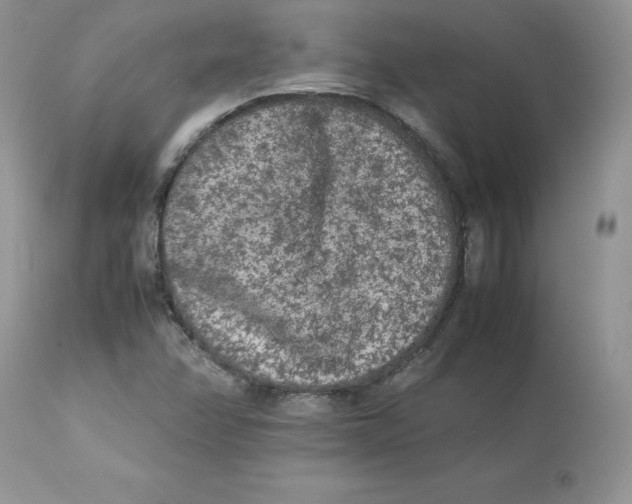 X0000112851358200909111436