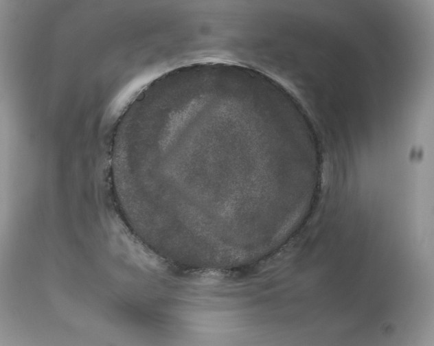 X0000112851359200909111436