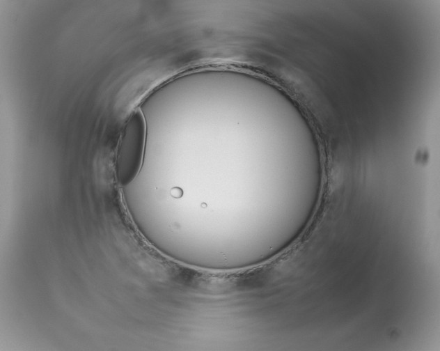 X0000112851361200909111435